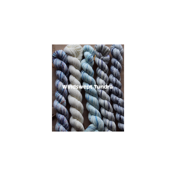 KPPPM PAINT CAN 5x25g - Windswept Tundra